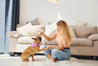 pet for home