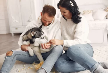 things you need before getting a puppy