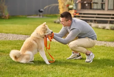 Dog-Friendly Outdoor Activities to Do in Your Backyard