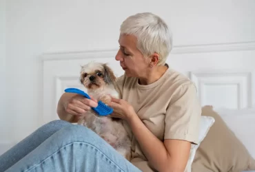 grooming small dog