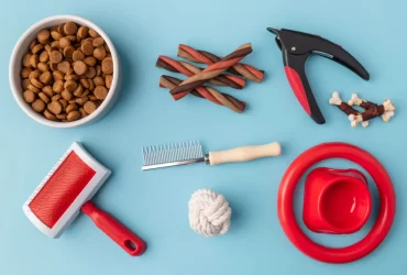 dog grooming tools you need to know