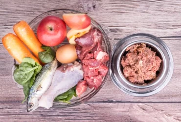 Raw Food for Dog