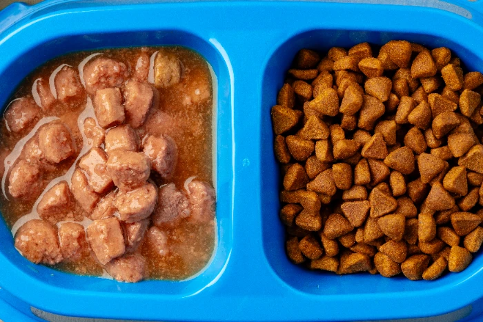 Dry vs Wet Dog Food