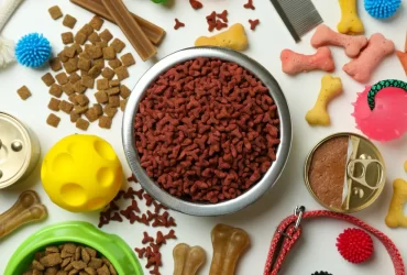 different types of dog food