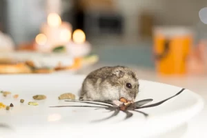 foods hamster can't eat