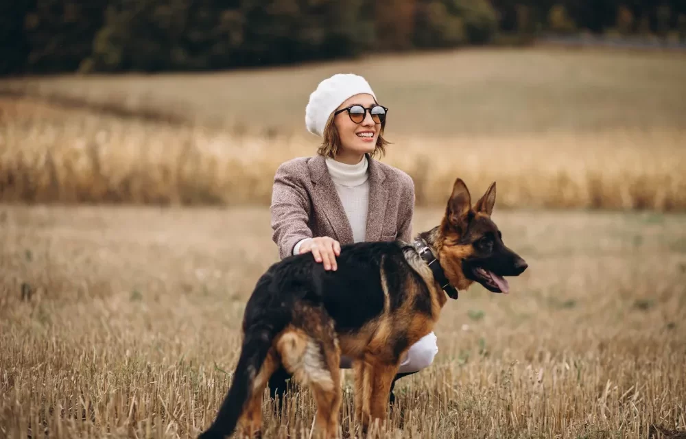 origin of German Shepherd