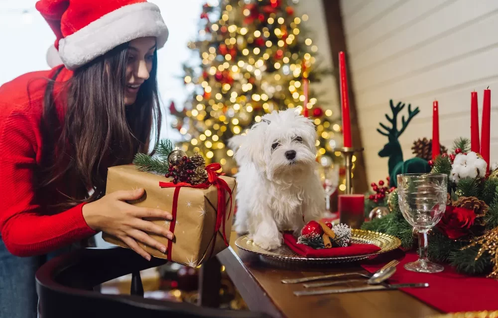 unique Christmas gifts for dog