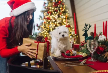 unique Christmas gifts for dog