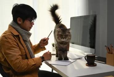 impact of remote work with pets