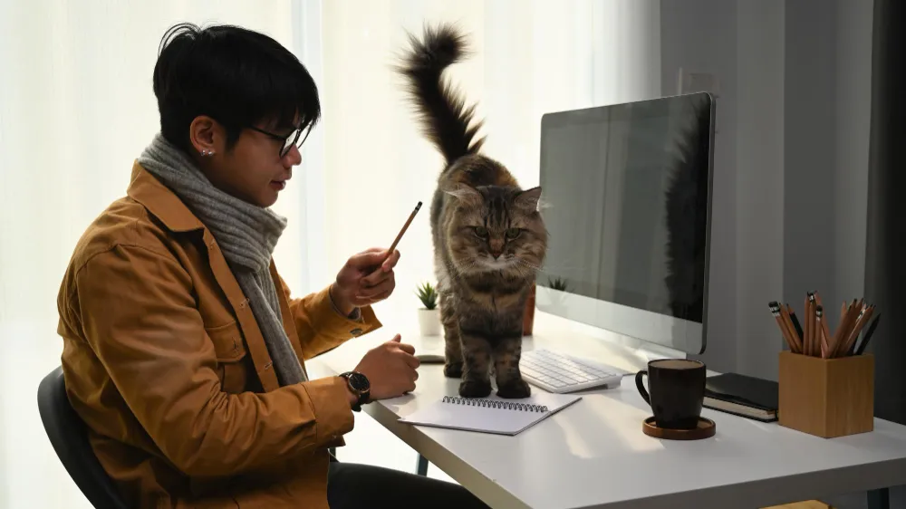 impact of remote work with pets