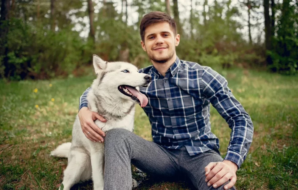 facts about german shepherd dog