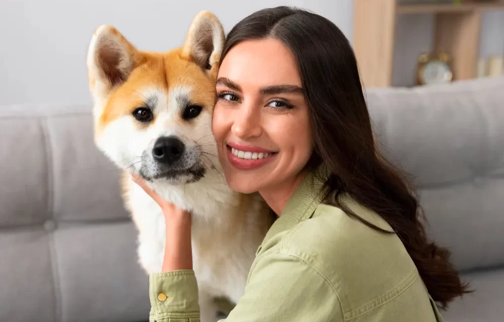 male vs female shiba inu