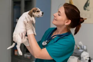 How Often Should I Take My Dog to the Vet