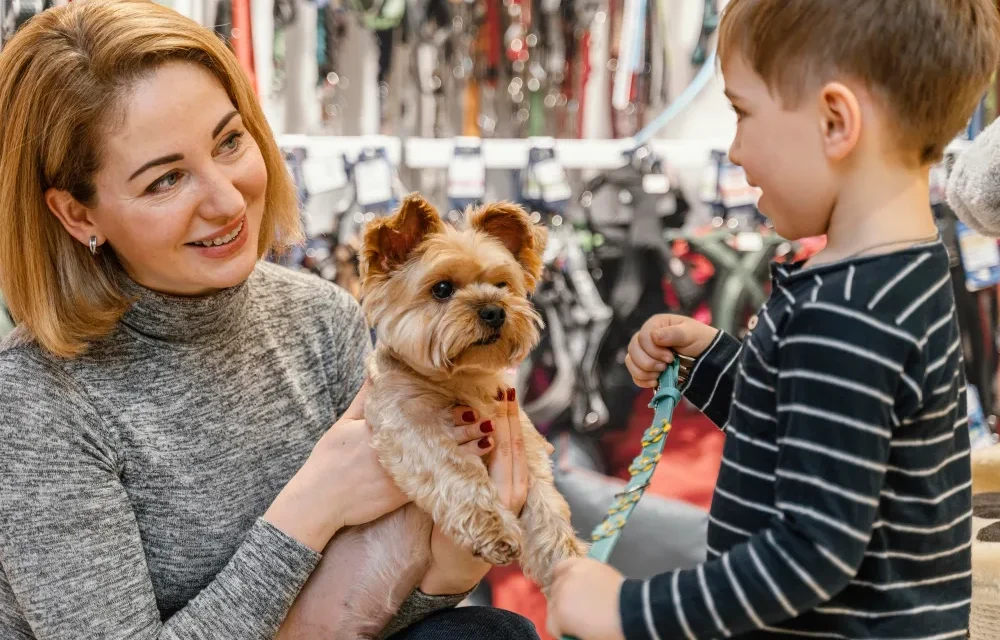 questions to ask when buying a puppy