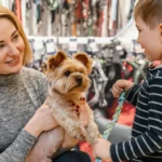 questions to ask when buying a puppy
