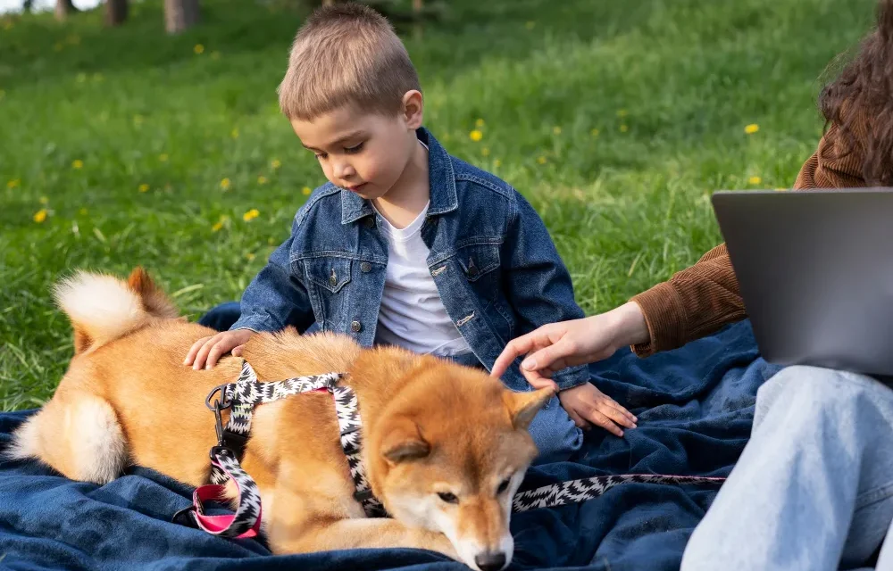 shiba inu pros and cons