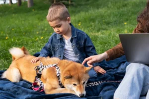 shiba inu pros and cons